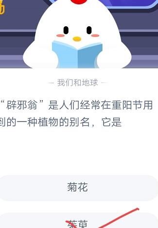 香蕉树怎么种植