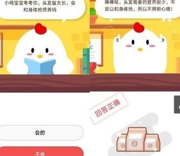 蚂蚁庄园小鸡养殖攻略：如何获得更多的蛋