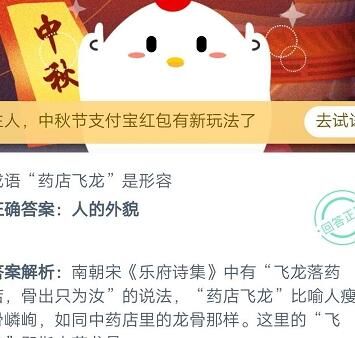 小鸡开开好不好