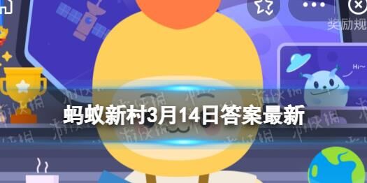怎么样喂养小鸡