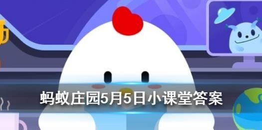 小鸡怎么吃下蛋快