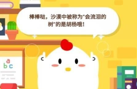 可以增加收益吗