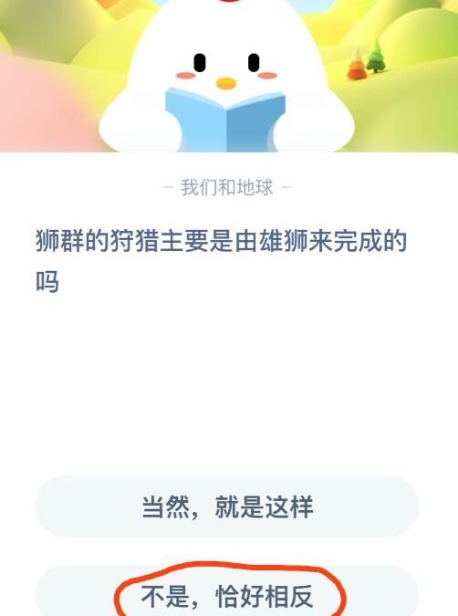 怎么样去喂别人小鸡