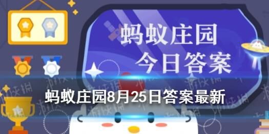 蚂蚁庄园小鸡饲料增加方法解析，快速提升收益率