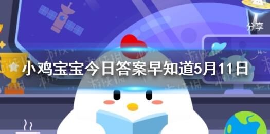 公仔哪些可以送