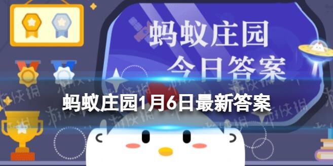 蚂蚁庄园美食食材大揭秘，让你的味蕾大饱口福！
