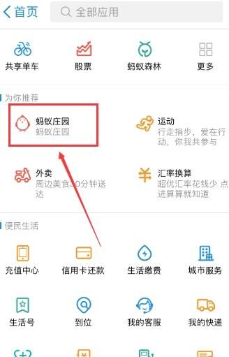 蚂蚁庄园疑似偷吃秘密，金蛋不再增加怎么回事？