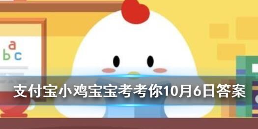 小鸡不能弃养吗