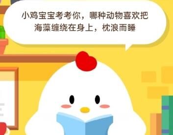 不显示小鸡心情