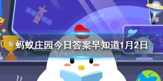 拍照开闪光灯怎么设置