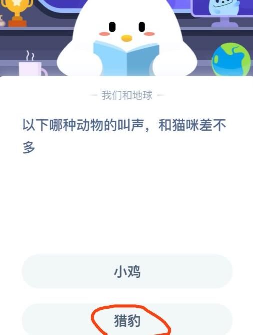 可以赚积分吗