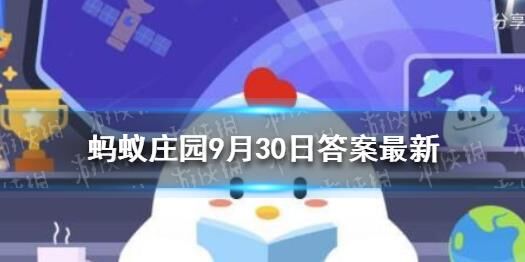 里怎么种水果