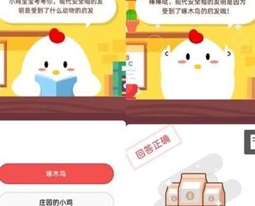  蚂蚁庄园小鸡长大要多久？了解小鸡生长周期及照料方法