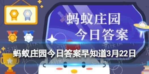 今年有什么新政策