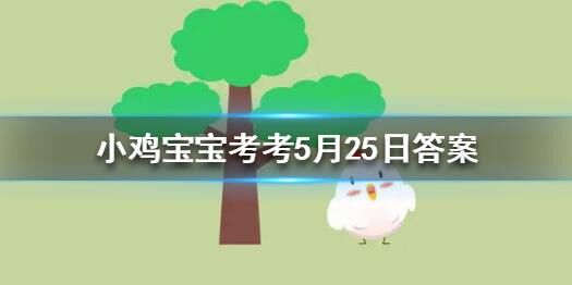 里公益活动有什么