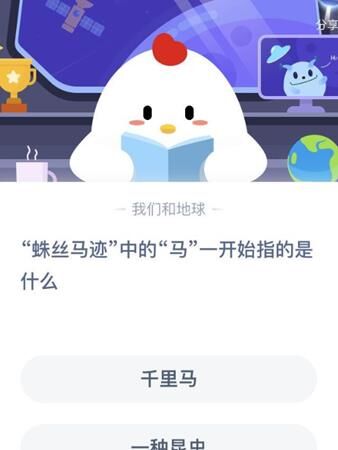 一起养小鸡怎么玩