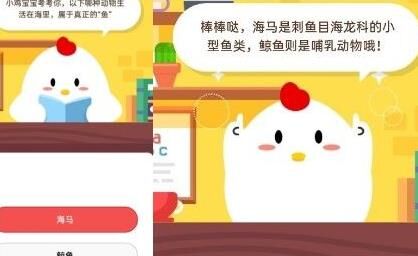  蚂蚁庄园饲料利用最大的方法大揭秘！