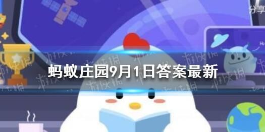 运动会在哪开宝箱