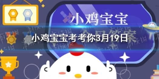 vr运动会小鸡唱什么