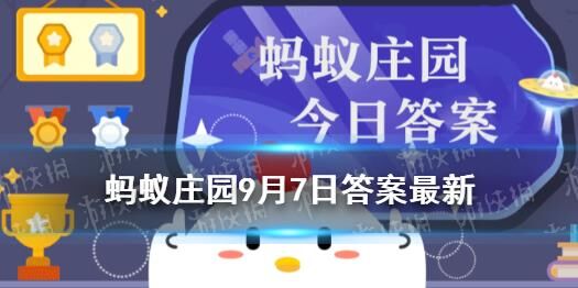 金蛋奖励怎么产生