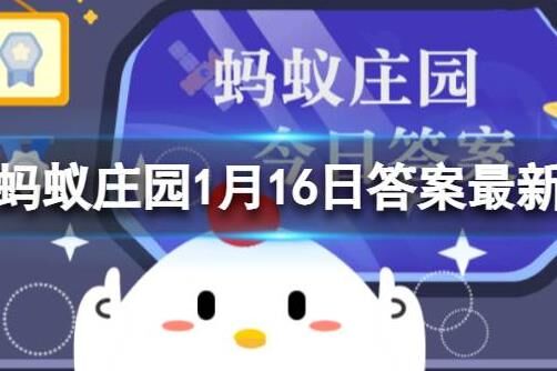 蚂蚁庄园胖揍留言回复大揭秘！快来看！