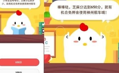 喂养小鸡活动策划