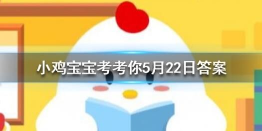 小鸡和沧龙在干什么