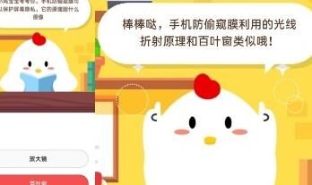 小鸡怎么快速长大