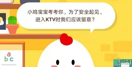 蚂蚁庄园猫为什么小鸡不见？解密小鸡踪迹背后的秘密！