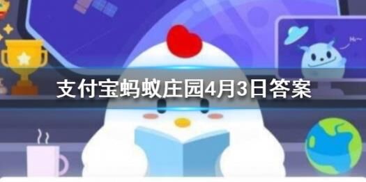 金蛋出什么用