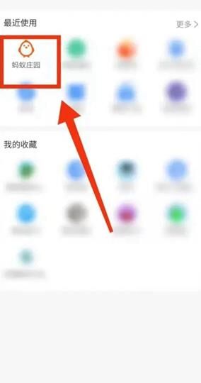 揭秘蚂蚁庄园里所谓的“平头哥”究竟是什么动物？