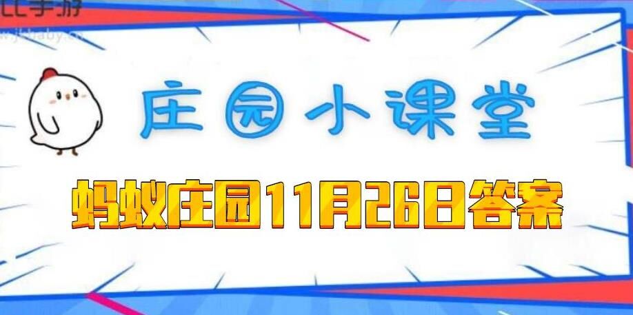 给小鸡改什么名字