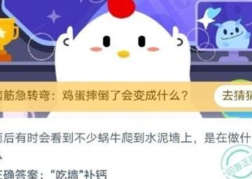 百香果任务怎么做