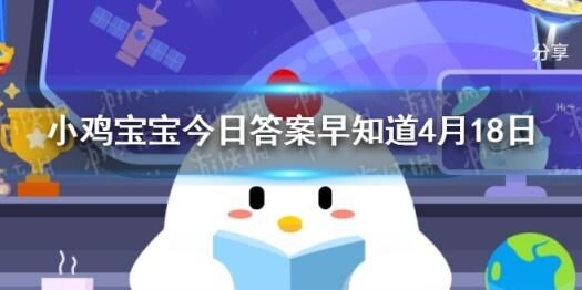 vr运动会小鸡唱什么