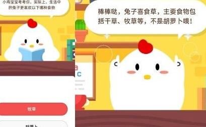 小鸡为什么不能吃东西