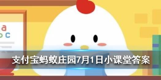 怎么养小猪