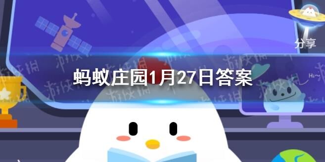 登山赛锻炼什么