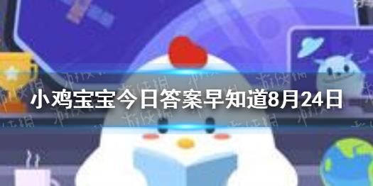 蚂蚁庄园小鸡多大视角分析，让您了解小鸡的成长阶段！