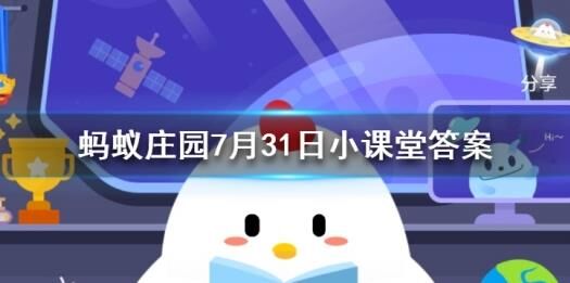 小鸡饲料怎么升级