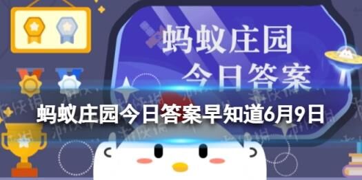 怎么查看全球排名