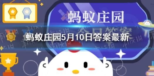 运动会星星球怎么玩