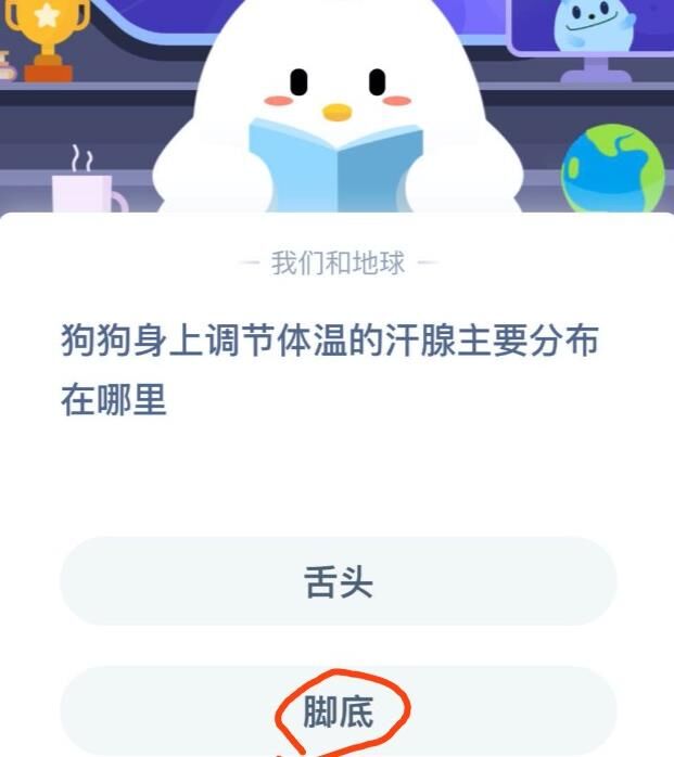 线下支付怎么用