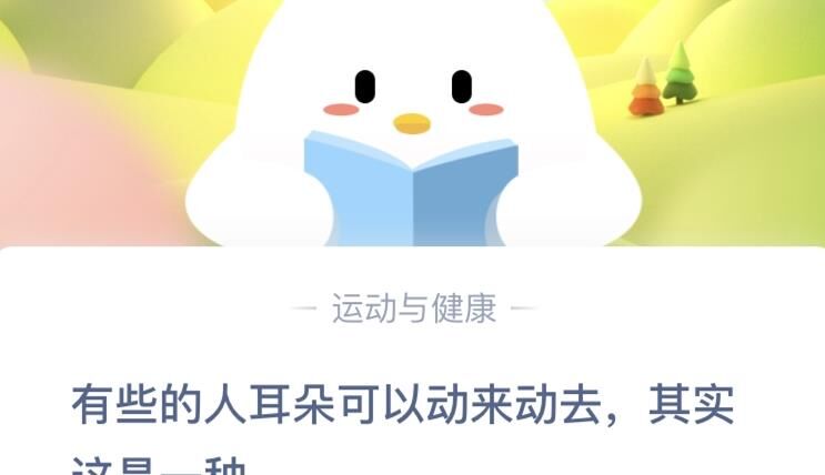 给小鸡改什么名字