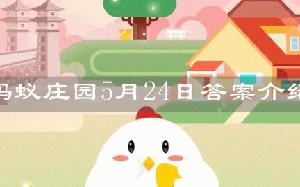 蚂蚁庄园怎么提现给别人？操作简易，一起来学习吧！