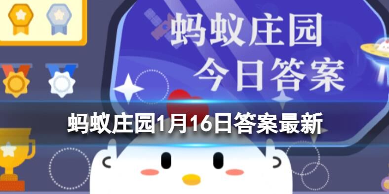 蚂蚁庄园冬奥会：你知道它们怕下雪吗？