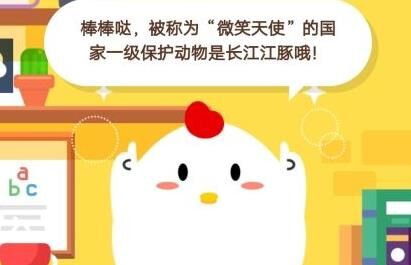 怎么看好友小鸡