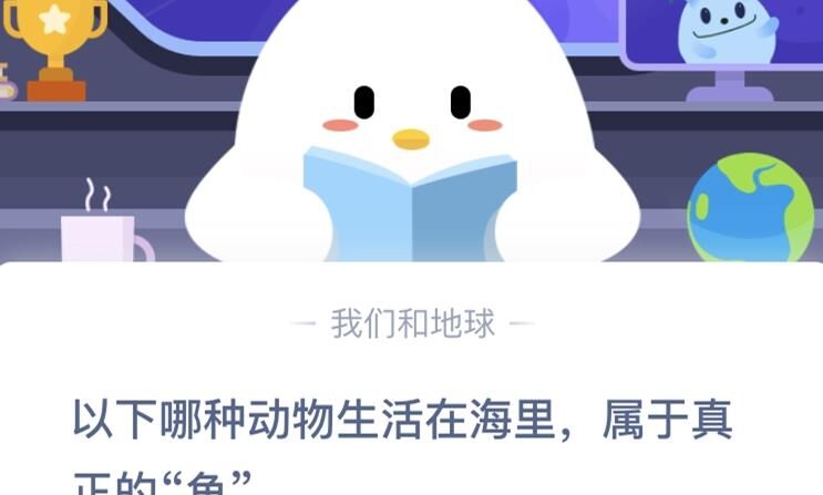食物掉怎么处理