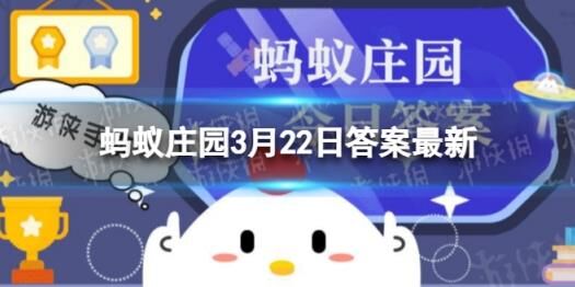 玫瑰蛋糕任务怎么做