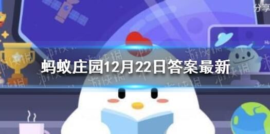 为什么晚上没有小鸡偷吃