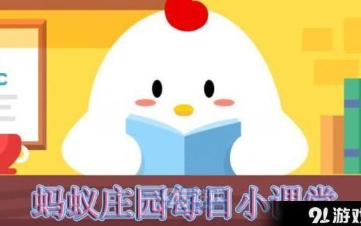 答题哪家机构进入
